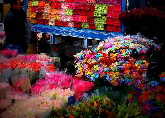 margaritas al por mayor pereria