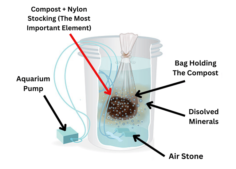 How Compost Tea Works