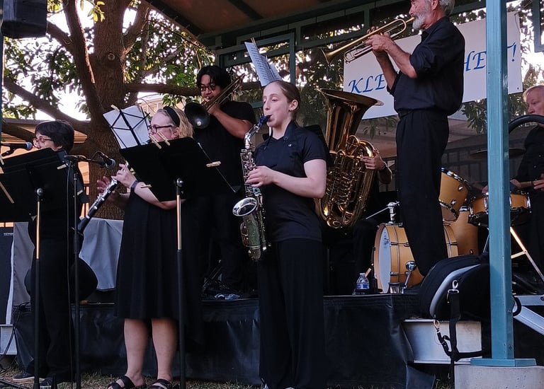 Hannah Wolkowitz Performing with Klezundheit!