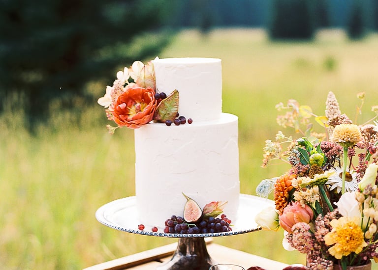 Minimalist white wedding cake for an outdoor elopement in Bozeman Montana