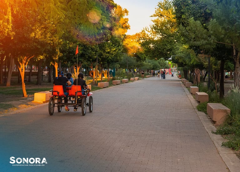 Relax by visiting Hermosillo's historic parks.