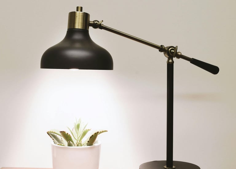 A Lamp shining on a plant