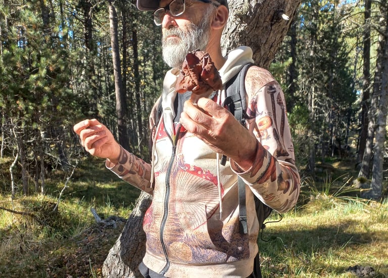 Sortie champigons avec Laurent, Formiguères septembre 2025
