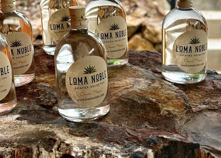 a group of bottles of liquor in a tree stump