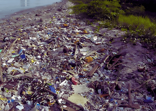 a picture of a pile of garbage on a beach