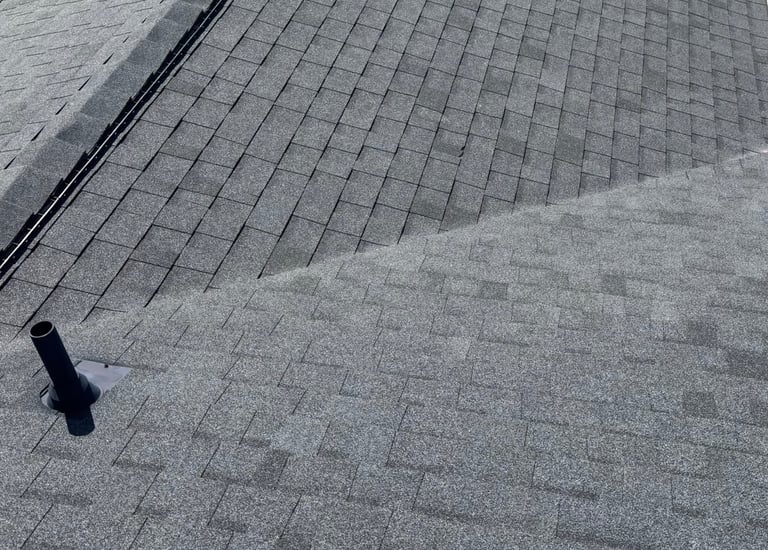 shingle roof