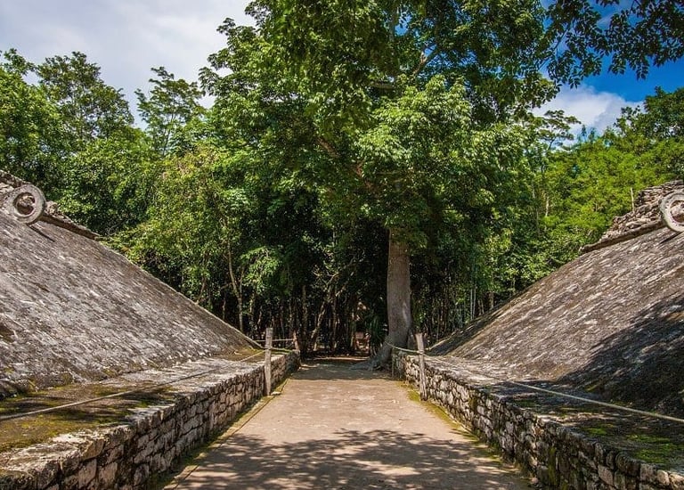 Tour Tortugas Coba Cenote desde Cancún