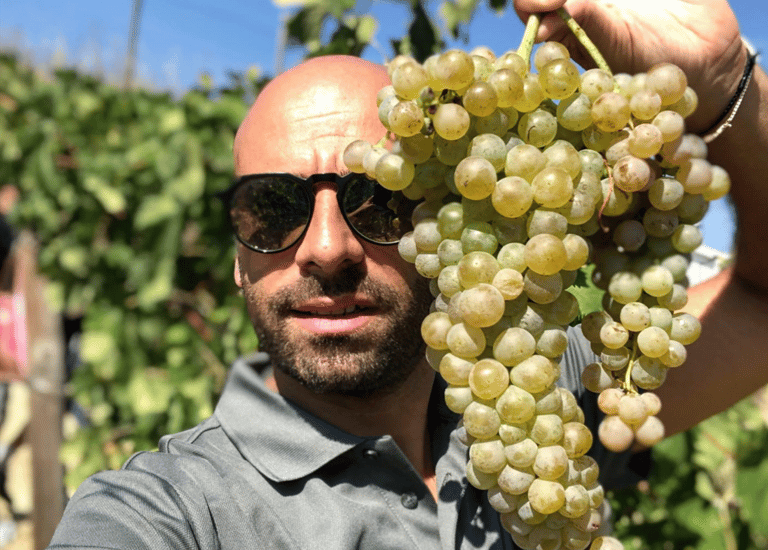 Giovanni d'Alesio, produttore Abruzzese vino artigianale e distribuzione vini italiani e francesi