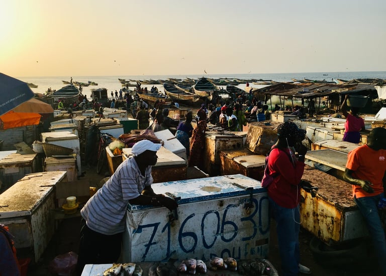 Blick auf einen Fischmarkt in Afrika