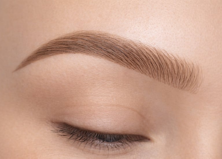 Sample image of a lightly shaded brow for soft enhancement.