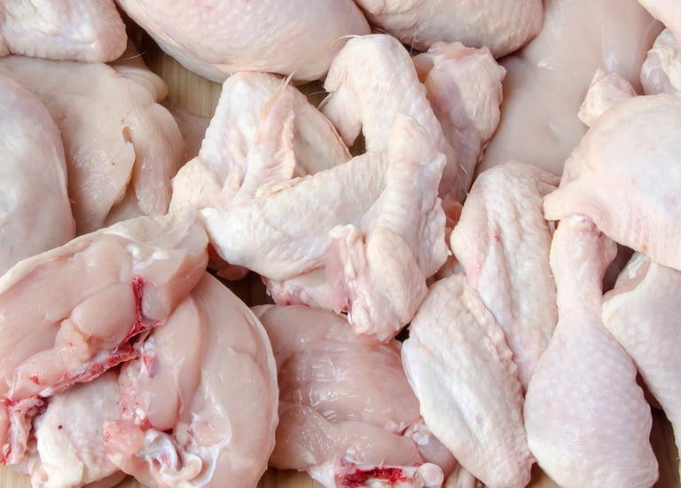 İzmir'de tavuk parçalama tesisi tavukları