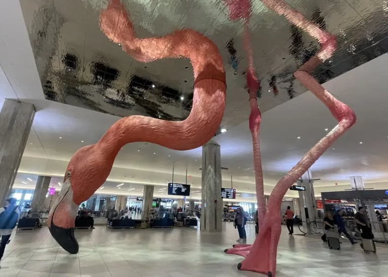 Tampa international airport