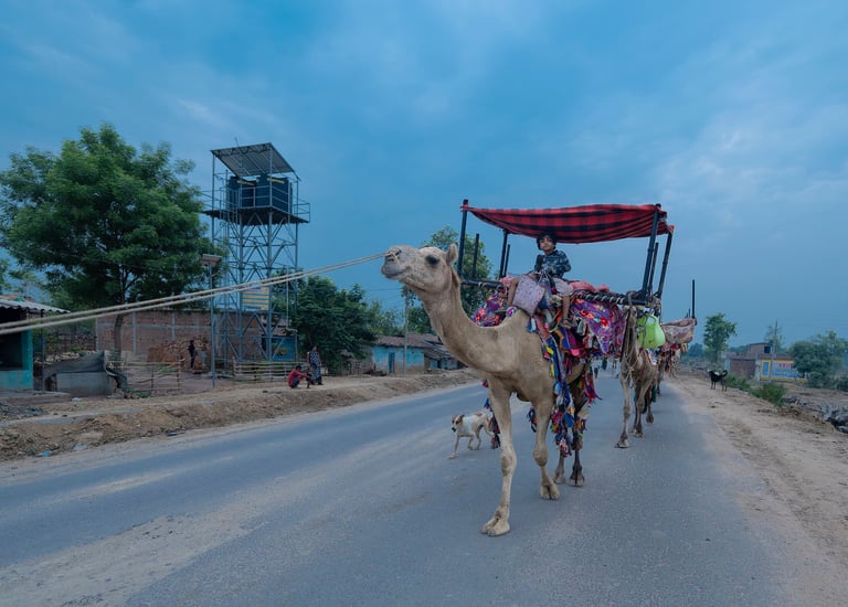 Rabari nomads from Kutch Gujarat India