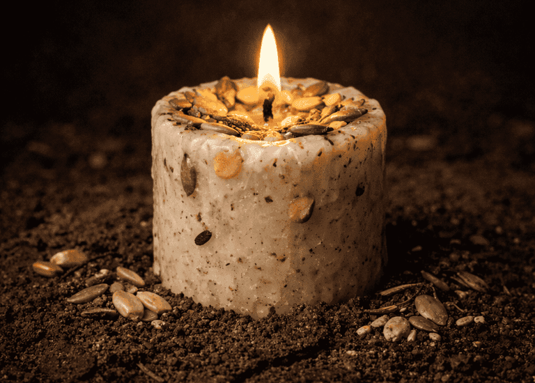 vela encendida con semillas