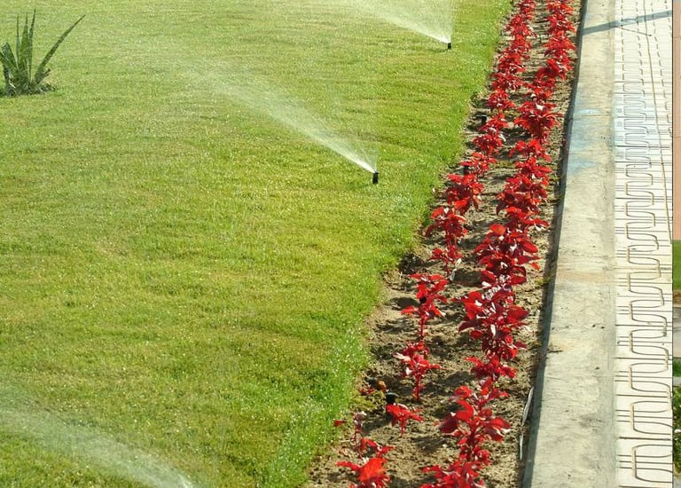 تنسيق المواقع و الزراعة