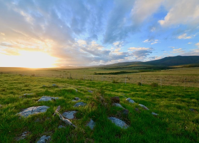 Overberg landscape sunset over green fields