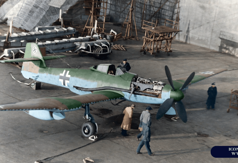 Blohm und Voss "BV-155", Fighter