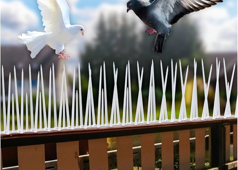 Sharp bird spikes installed along a building ledge to prevent perching.