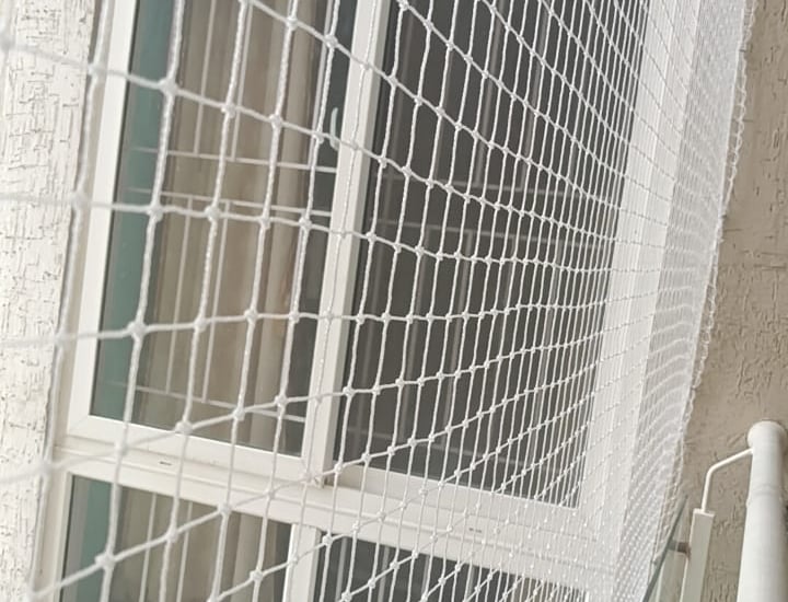 Wide shot of a residential building with pigeon nets installed on windows.