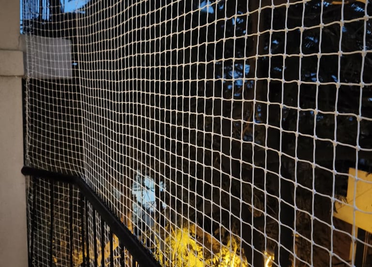 Close-up of a securely installed pigeon net on a high-rise apartment balcony in Chennai.
