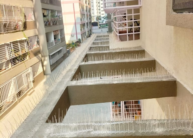 bird spikes installation in Kolathur , Chennai