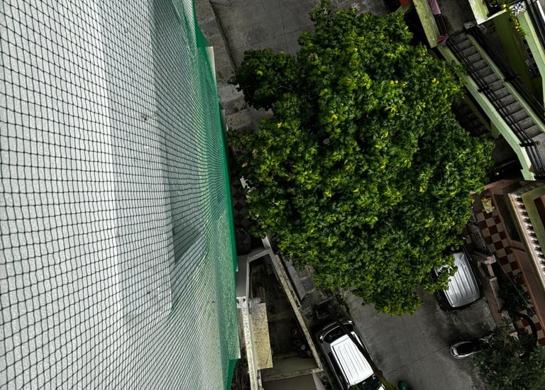 View of a clean apartment balcony free from pigeon droppings thanks to netting.