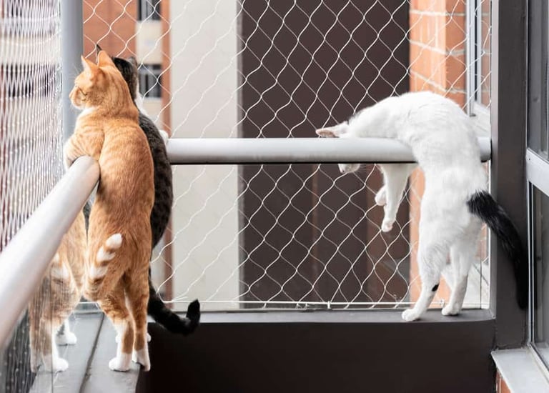 pet safety nets installation in kolathur chennai