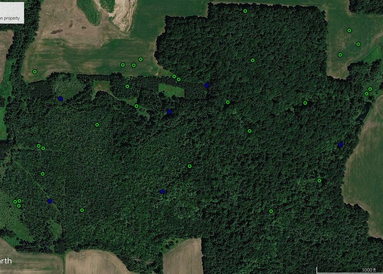 Aerial Google Earth satellite map of a forest property showing marked deer locations.