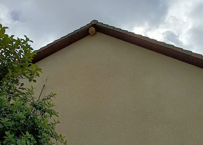 destruction nids frelon asiatique Le Havre 76