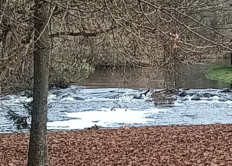 Tautkūnų vandens malūno užtvankos liekanos