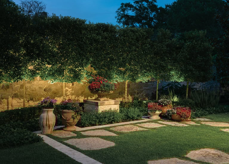 landscape up lighting trees
