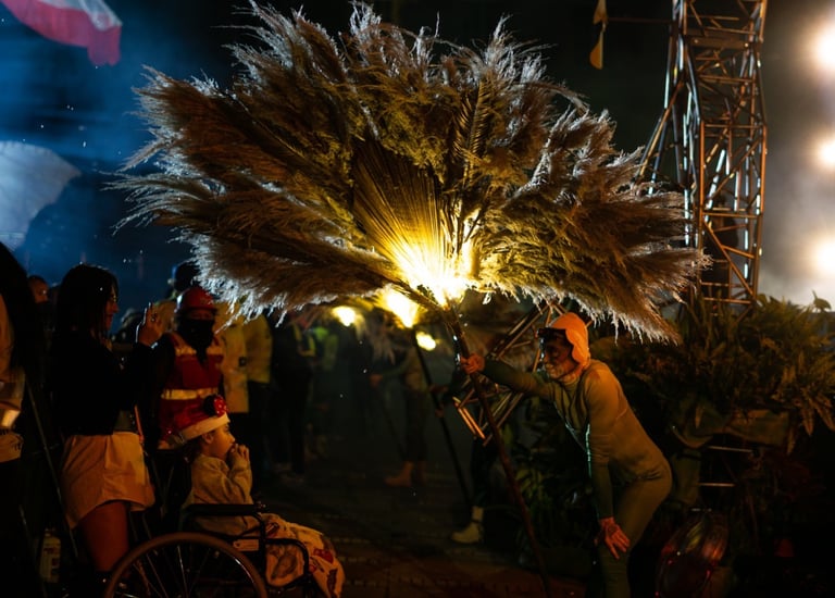 El Arbor de la abundancia, espectáculos Bogota, show de navidad plaza de Bolivar