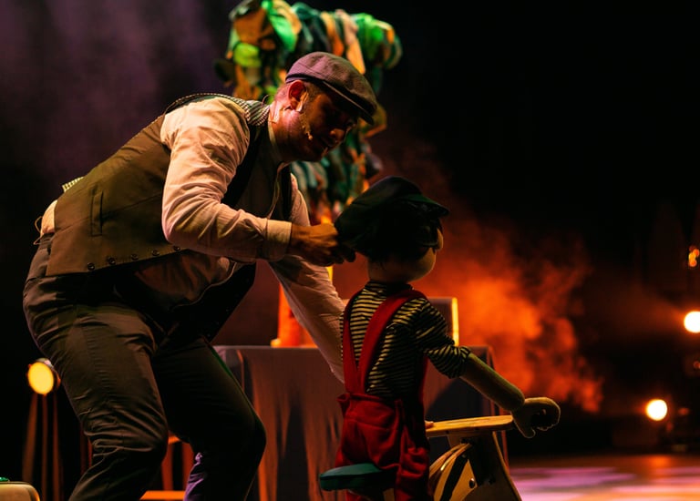 Zorro teatro infantil, teatro familiar Bogota, teatro para la familia, Bogota planes en familia