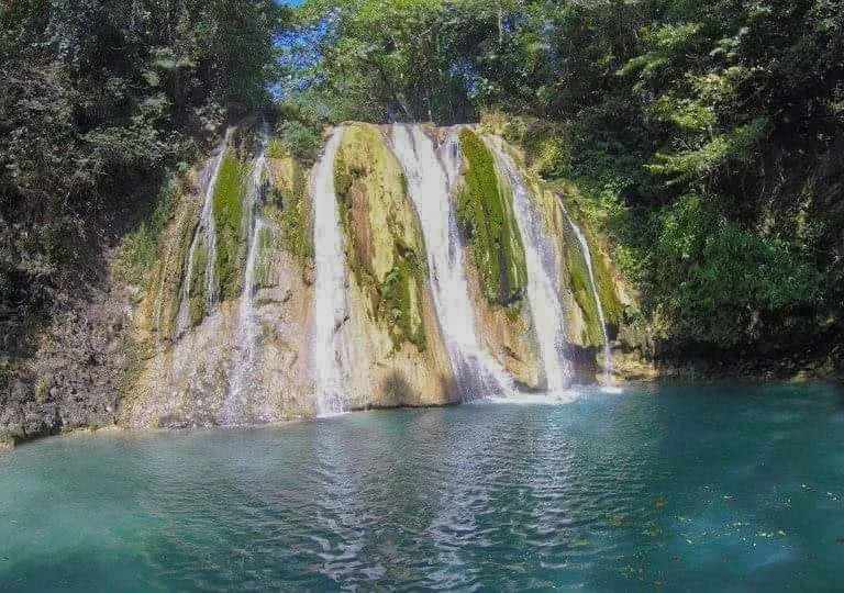 a waterfall in the middle of a forest