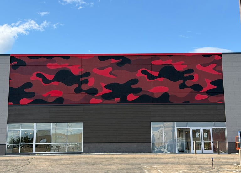 Minnesota Muralist Minneapolis Storms Dworak Mural