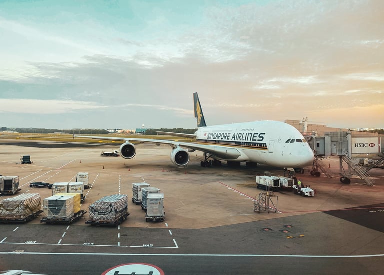 airport runway, airport, air freight, customs clearance, biosecurity clearance, quarantine clearance