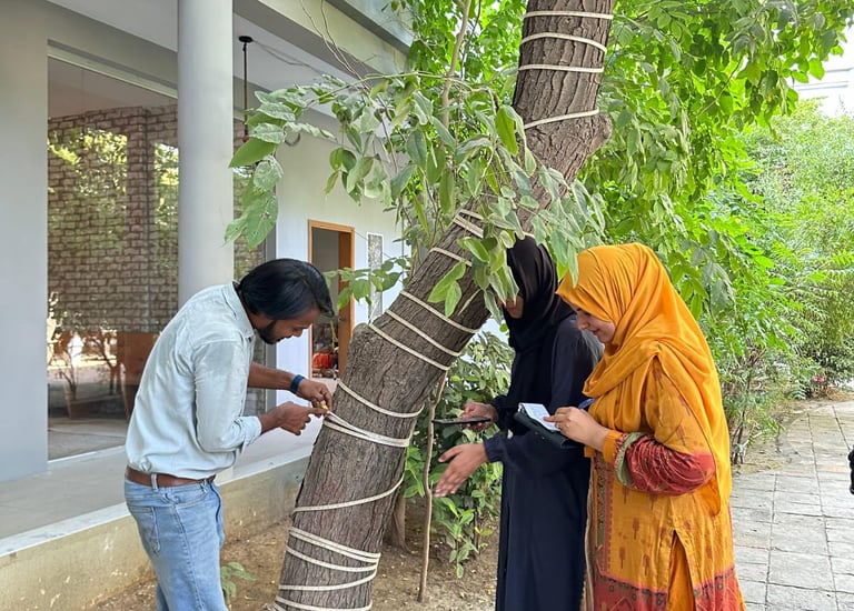 Professional tree survey & monitoring in Pakistan with geotagging, DBH, biodiversity, carbon credits