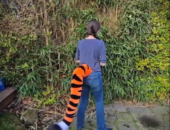 A person wearing a long, striped tiger costume tail accessory while standing in a garden.
