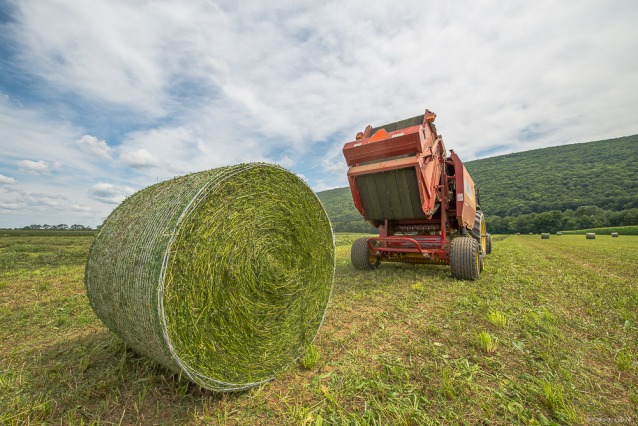 net wrap baling