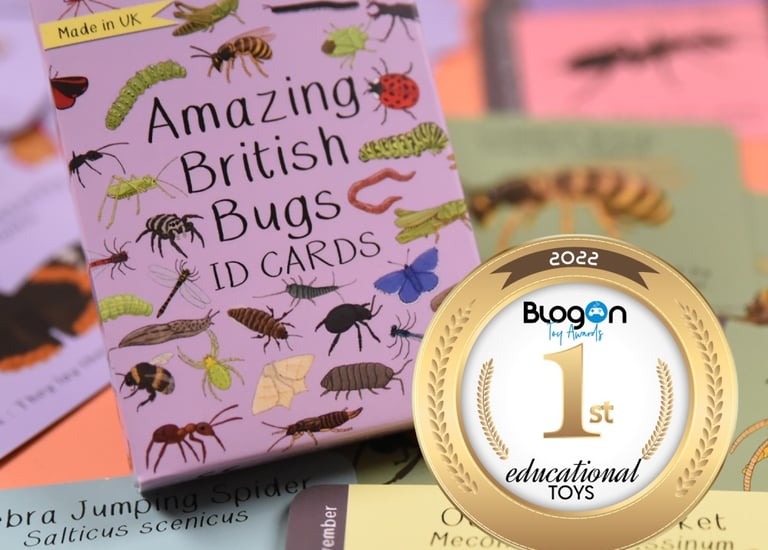 British Made Educational Card Game