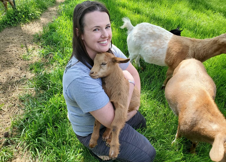 Fainting Goat Pets from Pennsylvania Goat Breeders