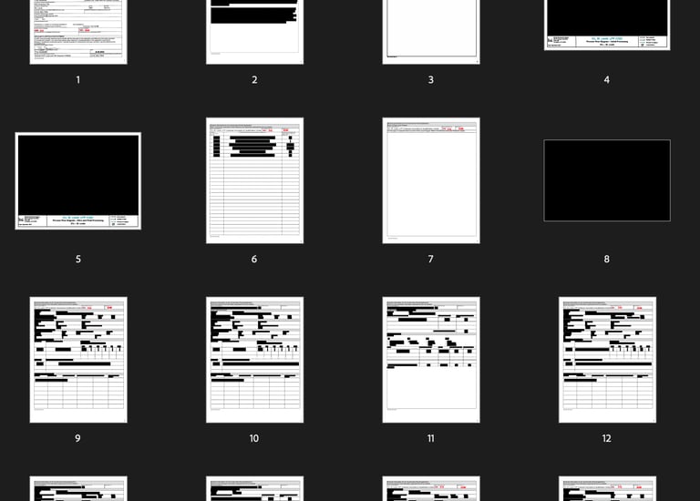 a heavily redacted permit to build a LFP plant in N. City