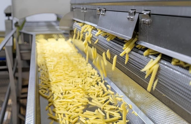 frozen french fries straight cut under processing