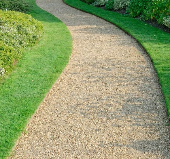 Un sentier menant à une pelouse verdoyante et luxuriante
