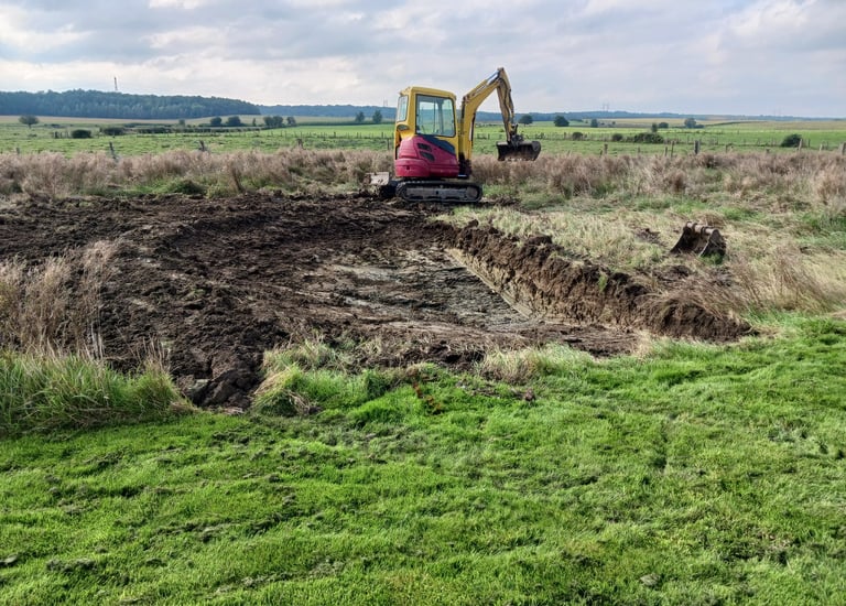 Travaux de terrassement avec pelouse et pelleteuse