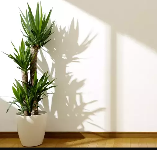 a planter with a plant in a potted planter