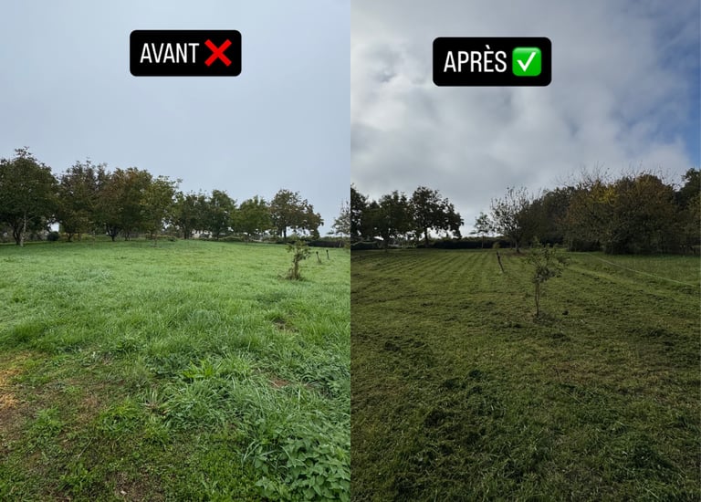 entretien espace vert a cognac, saintes, angouleme