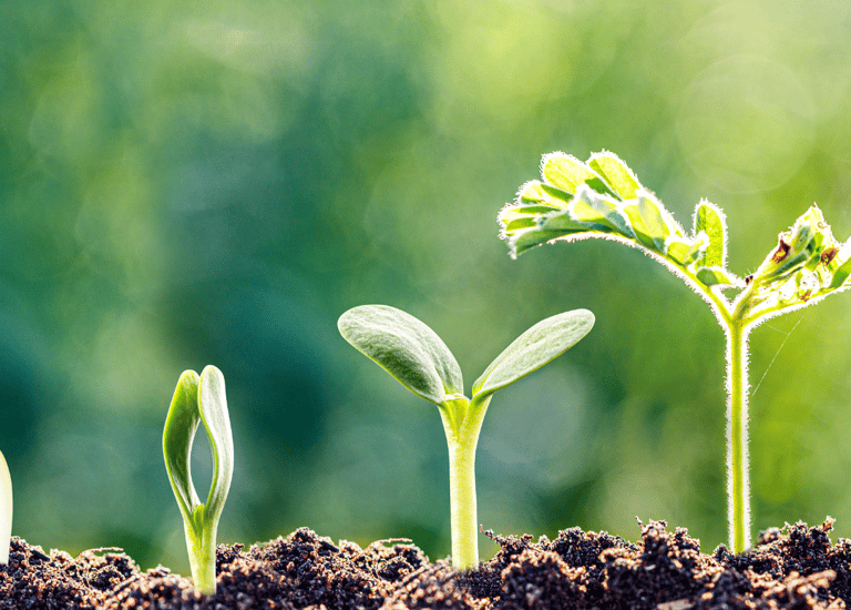 Sampada Nusantara commitment to green growth and protecting Indonesia’s nature