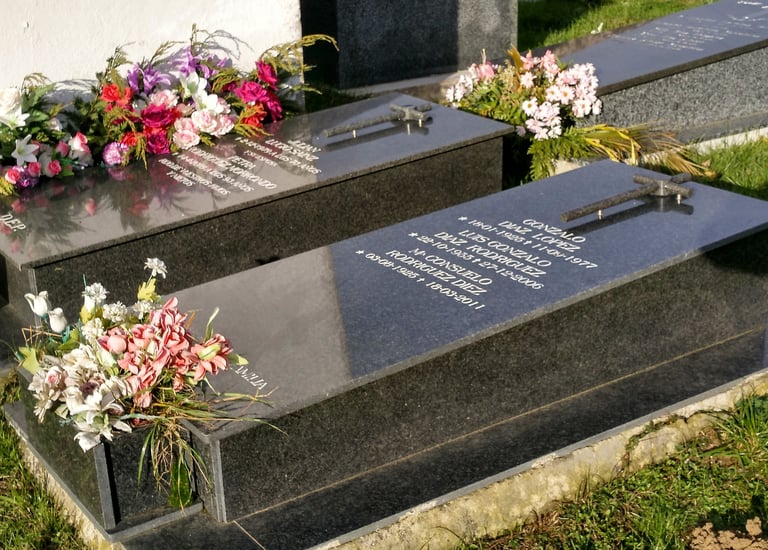 lapida marmoles salces