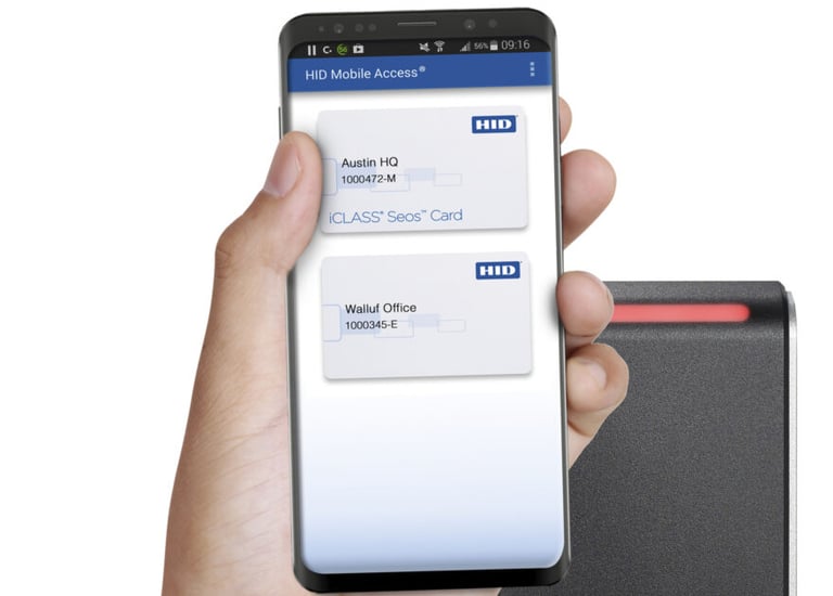 a person holding a cell phone in their hand
